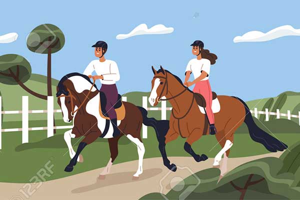 Catégorie, Formation, sport et tourisme