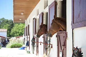 Catégorie, Installations et infrastructures équestre