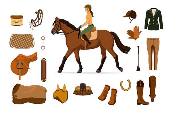 Catégorie, matériel et équipement