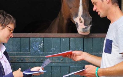 Contrat de vente d’un cheval – Droits et obligations