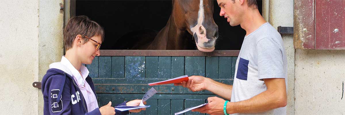Contrat de vente d’un cheval – Droits et obligations Contrat de vente d'un cheval - Droits et obligations