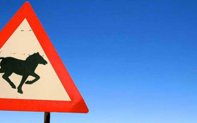 Le cheval et la voie publique