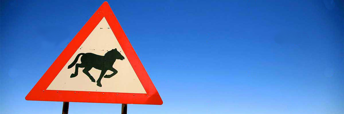 Le cheval et la voie publique Le cheval et la voie publique