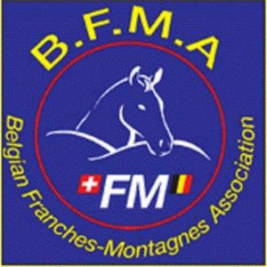 Belgian Franches-Montagnes Association (BFMA)
