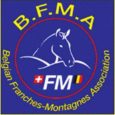 Belgian Franches-Montagnes Association (BFMA)