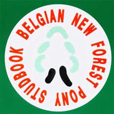 Belgian New Forest Pony Studbook