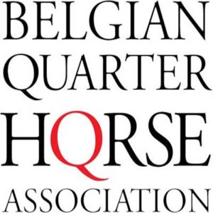 Belgian Quarter Horse Association
