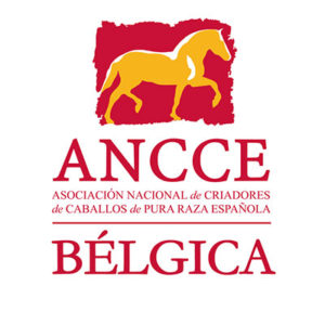 Studbook du cheval Pure Race Espagnol