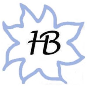 Haflinger Belgie Belgique