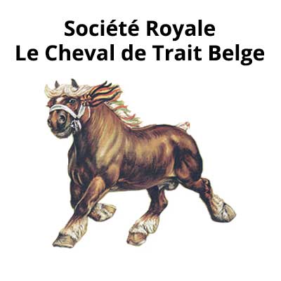 Société Royale Le Cheval de Trait Belge