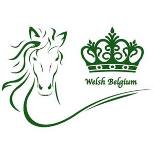 Welsh Belgium