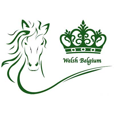 Welsh Belgium