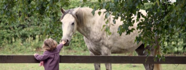 amatlognouveaub 768x289